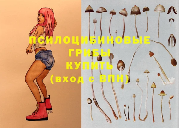 прущая мука Алзамай
