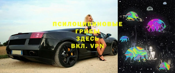 прущая мука Алзамай