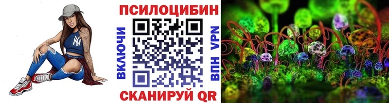 Псилоцибиновые грибы Psilocybine cubensis Томари